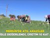 Mersin’de atıl araziler nergisle değerlendi, üretim 10 kat arttı
