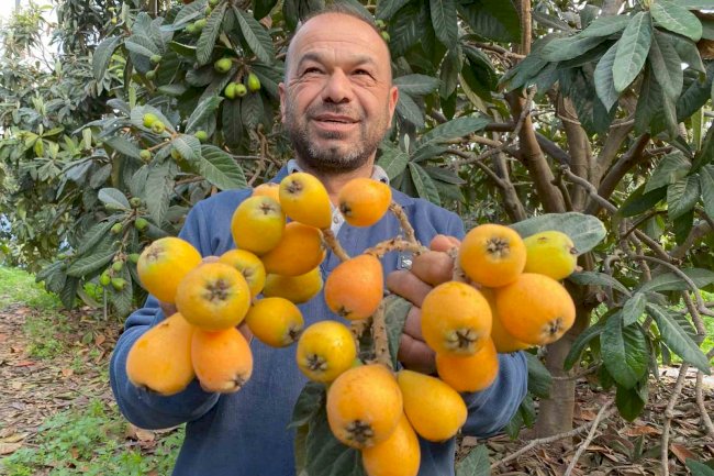 Bereketli Toprakların Hediyesi, Türkiye Çiçeği Beklerken Erdemli Meyve Topladı