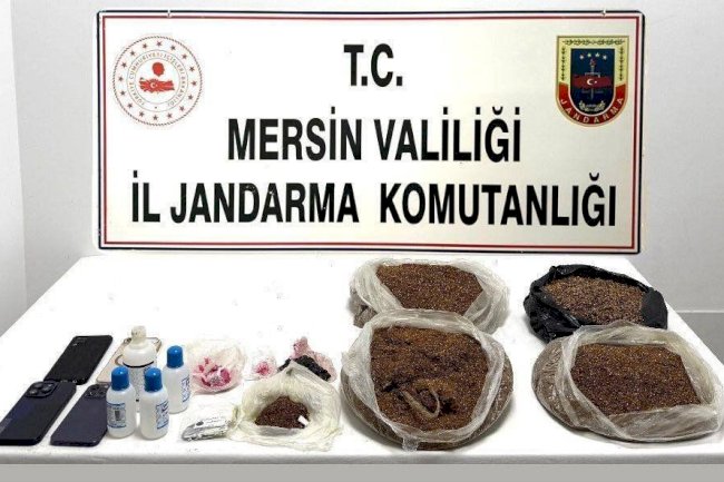 Mersin’de uyuşturucu operasyonu: 10,5 kilo bonzai ele geçirildi