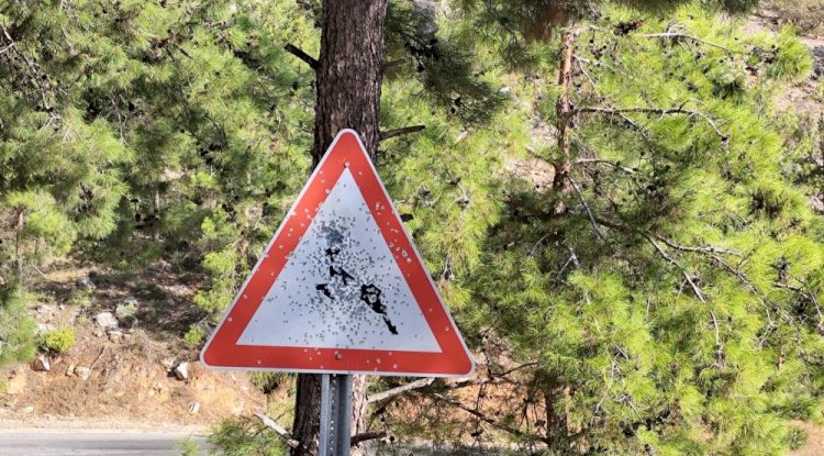 Bozyazı yayla yolunda trafik levhalarına kurşunlu saldırı