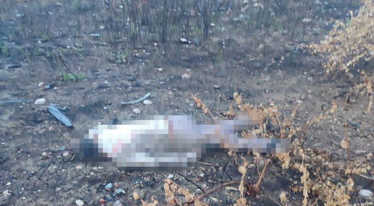 Mersin’de kaza yapan araç otoyolda, sürücüsü 30 metrelik köprünün altında ölü bulundu