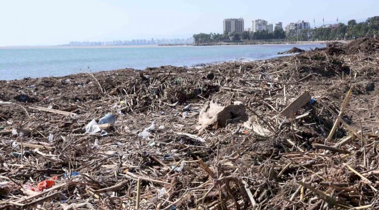 Mersin sahillerinde selin denize taşıdığı balçıklar temizleniyor