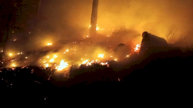 BOZYAZI'DA ALEVLERLE GECE MESAİSİ: FIRTINAYA RAĞMEN GEÇİT VERİLMEDİ!