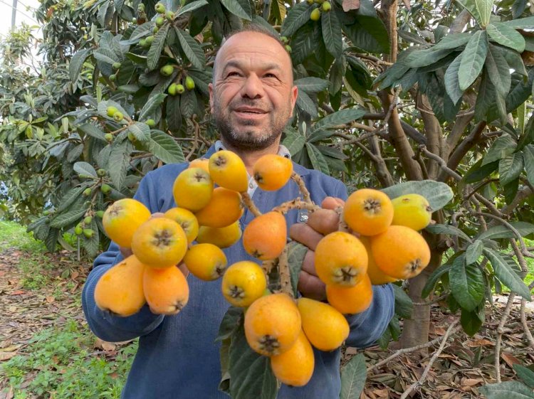 Bereketli Toprakların Hediyesi, Türkiye Çiçeği Beklerken Erdemli Meyve Topladı