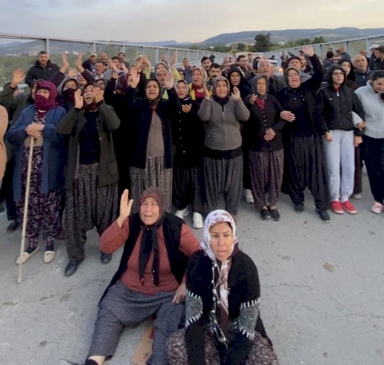 Mersin'de ormanlık alana ekili narenciye bahçelerinin kaldırılması kararına tepki