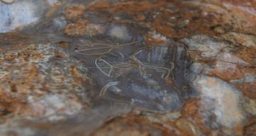 Mersin’de 8 bin yıllık kaya resimleri için ilk adım atılıyor