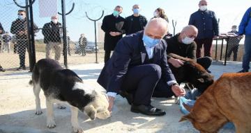 Başkan Gültak’tan sokak hayvanları için destek çağrısı